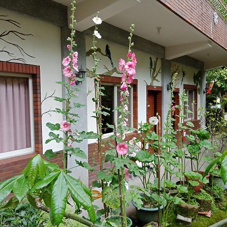 Yi Jia Yuan Homestay Наньчжуан Экстерьер фото